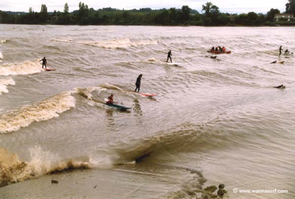 surf photo