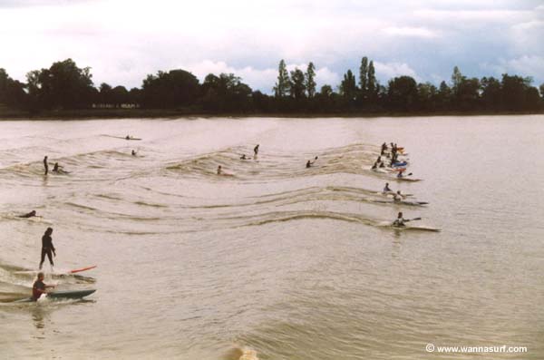 surf photo
