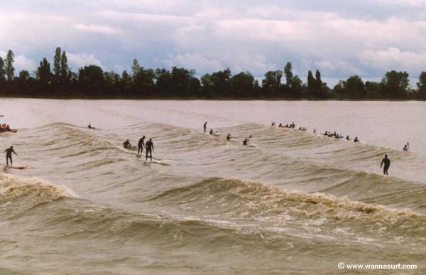 surf photo