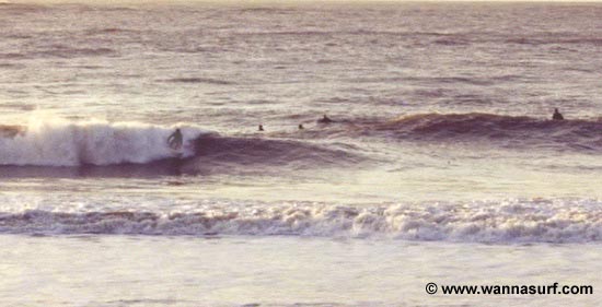 surf photo