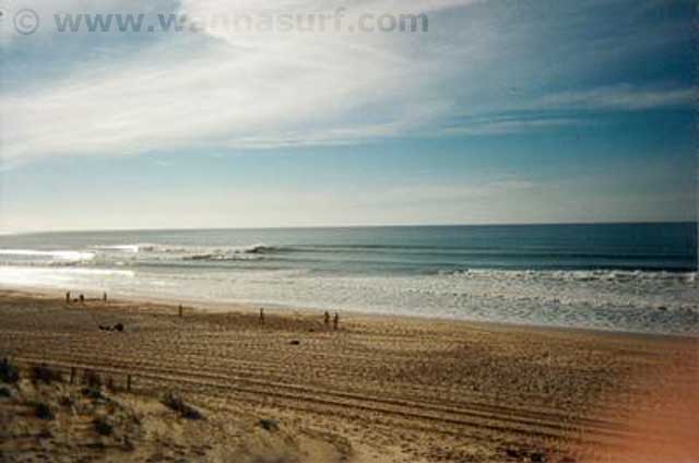 surf photo