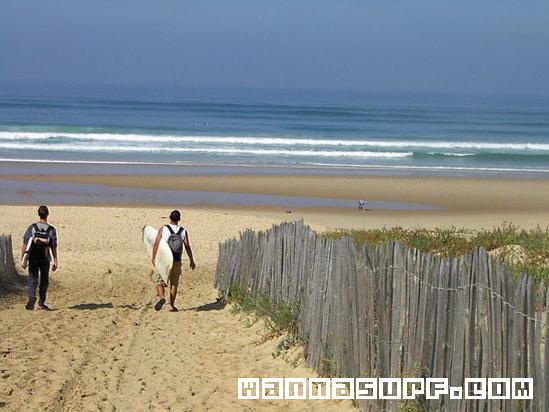 surf photo