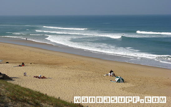 surf photo