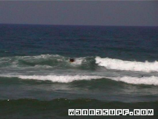 surf photo