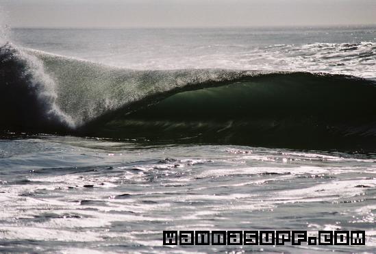 surf photo