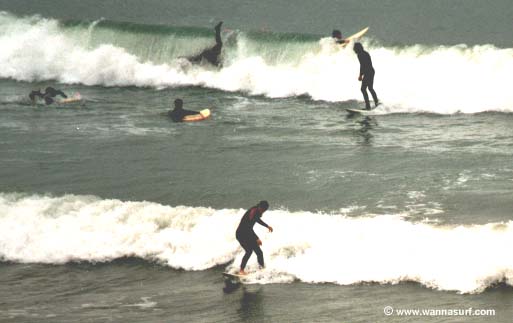 surf photo