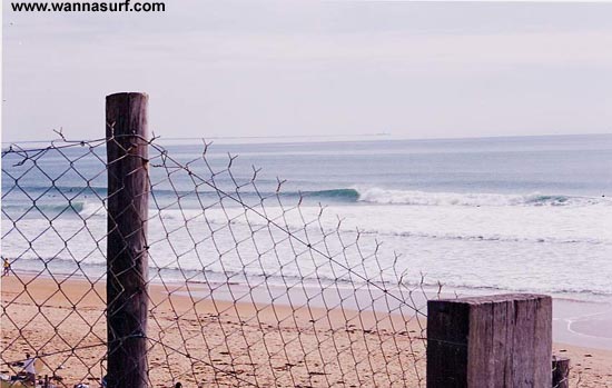 surf photo