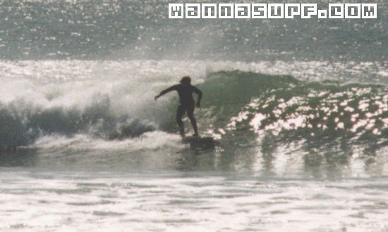 surf photo