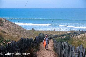 surf photo