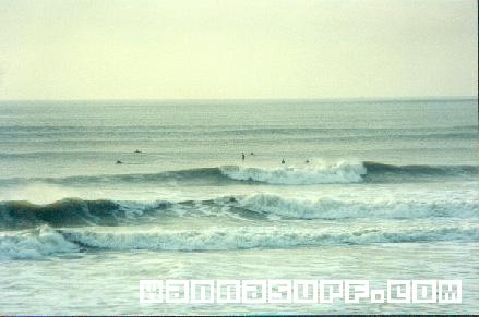 surf photo