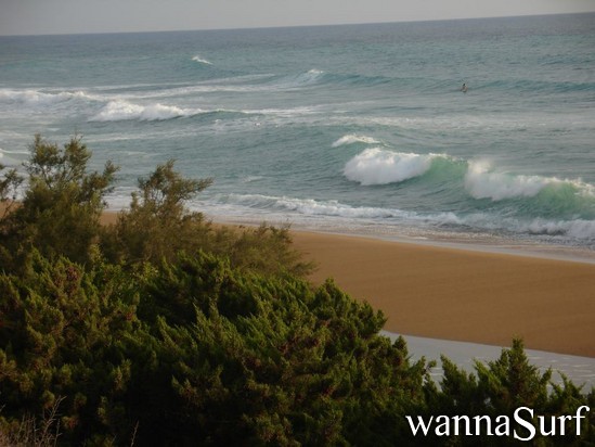 surf photo