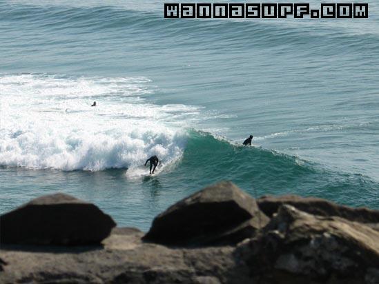 surf photo
