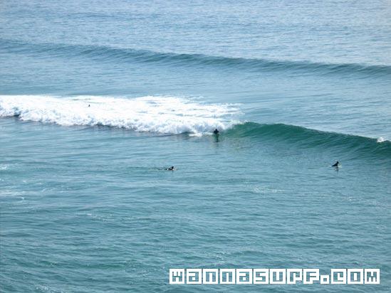 surf photo