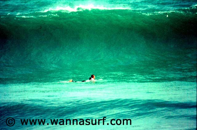surf photo