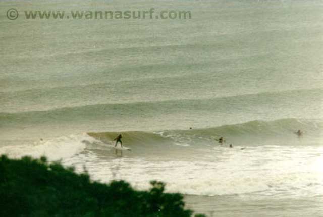 surf photo