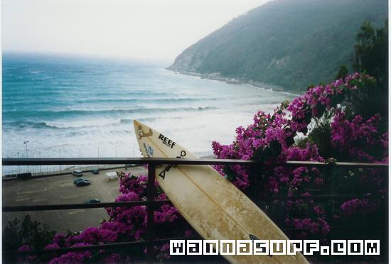 surf photo