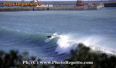 surf photo