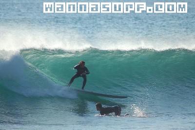 surf photo