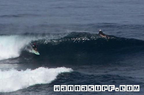 surf photo