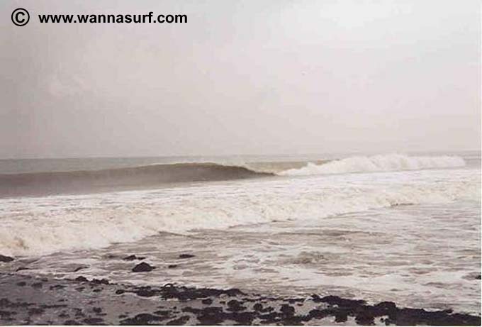 surf photo