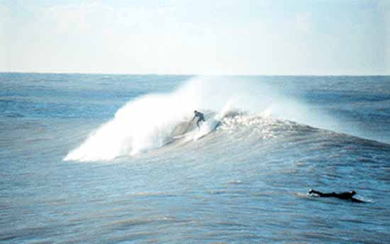 surf photo