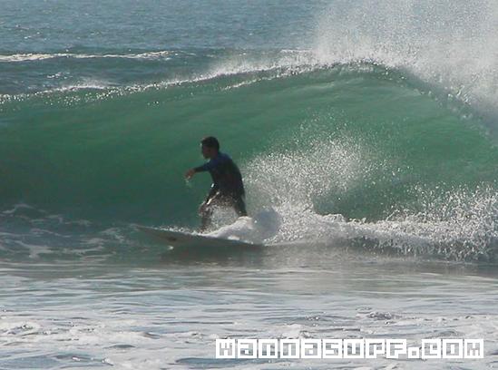 surf photo