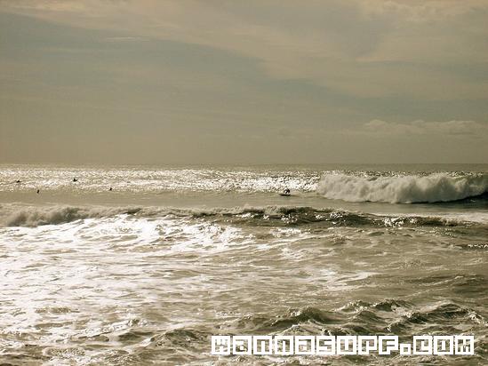surf photo
