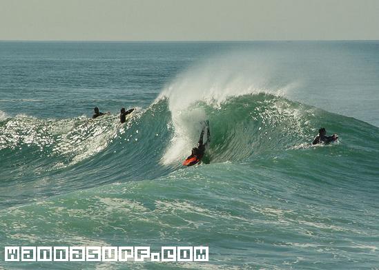 surf photo