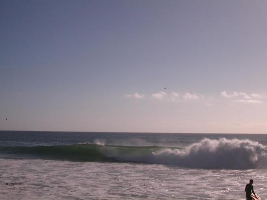 surf photo