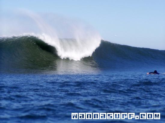 surf photo