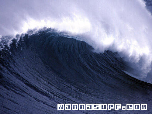 surf photo