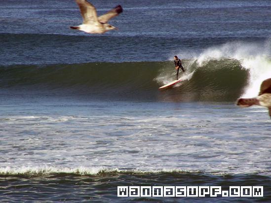 surf photo