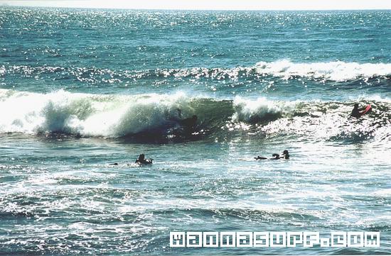 surf photo