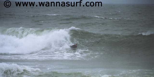 surf photo