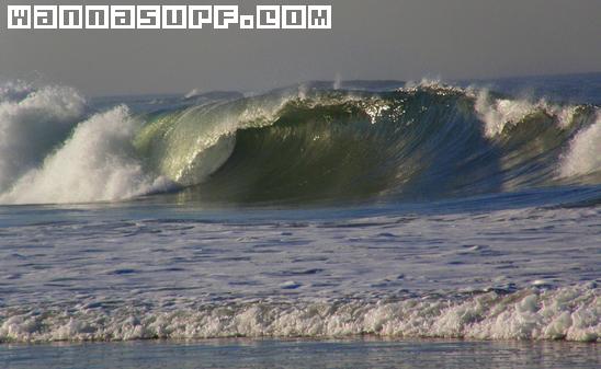 surf photo