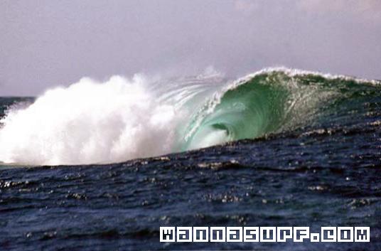 surf photo