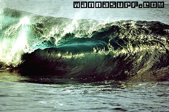 surf photo