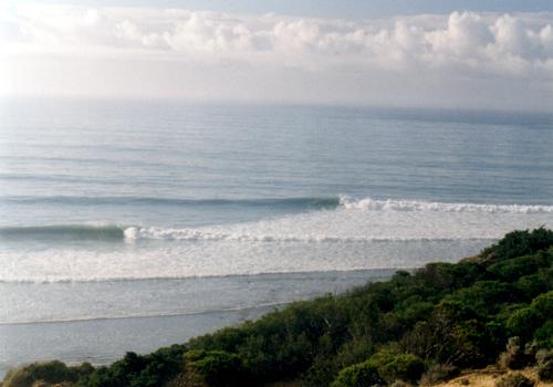 surf photo