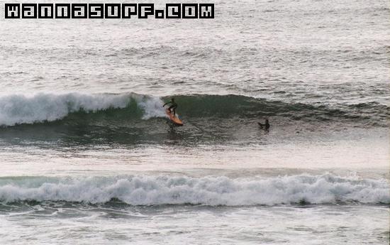 surf photo
