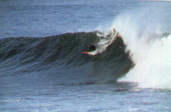 surf photo