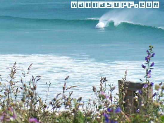 surf photo
