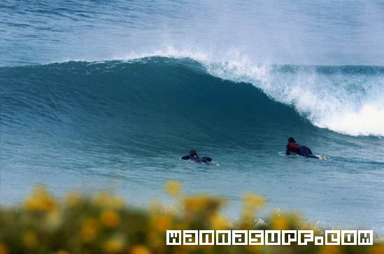 surf photo