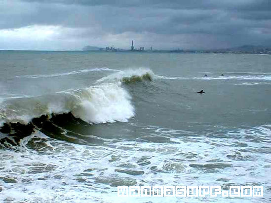 surf photo