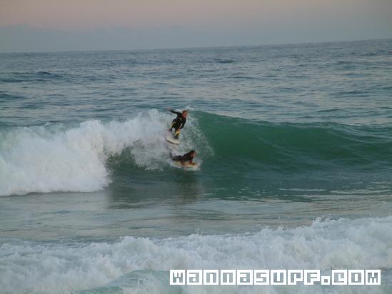 surf photo