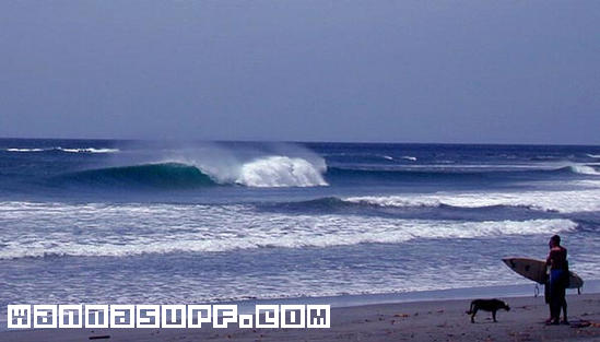 surf photo