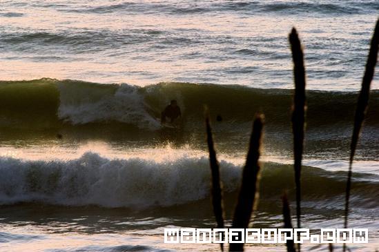 surf photo