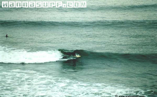 surf photo