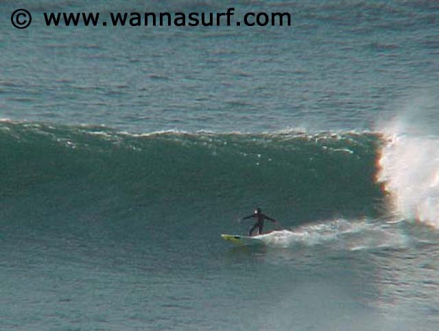 surf photo