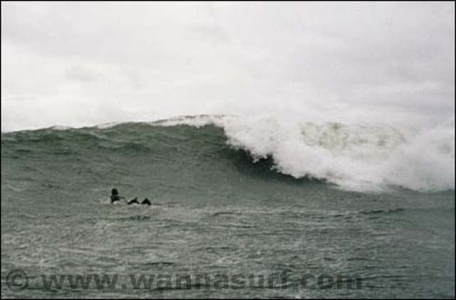surf photo