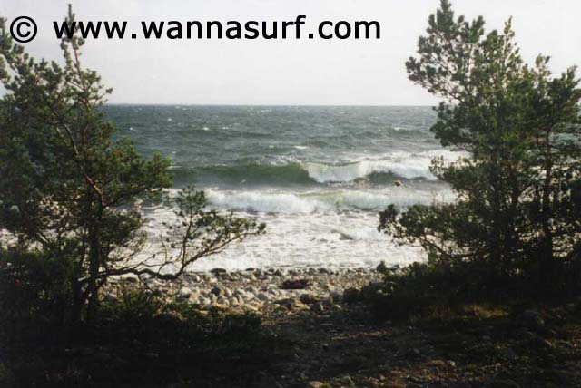 surf photo